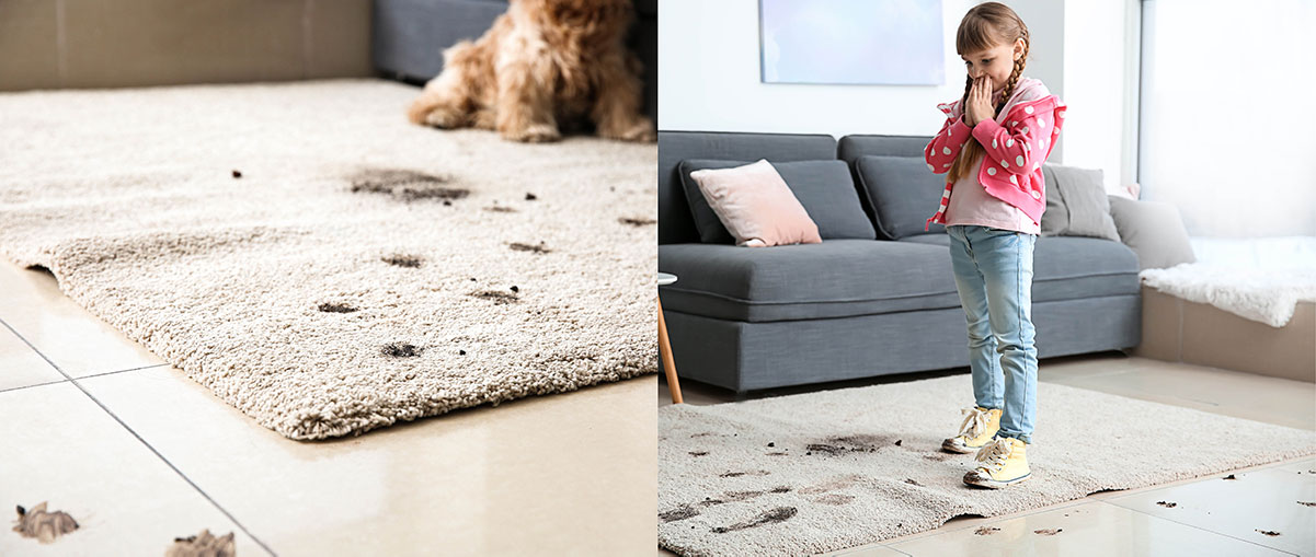 It&#8217;s Been A Long Year&#8230; Refresh Your Carpets With Rug Doctor!